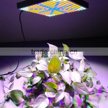 Free Sample 45W 2400LM 225 Indoor Garden Plant LED Grow Light Hanging Light Silver