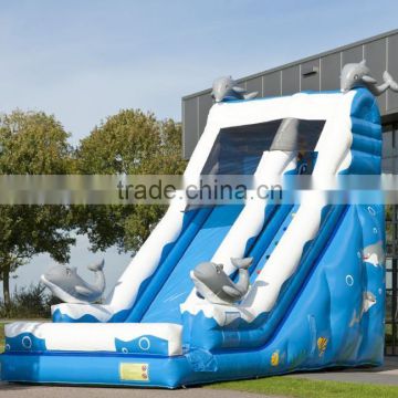 Hola inflatable slide/giant inflatable water slide