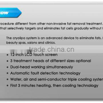 2016 Cryolipolysis Fat Freezer / Cryolipolysis Device / Cool Body Weight Loss photo-5