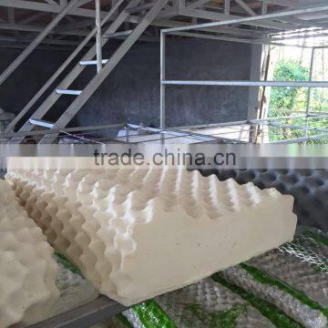 Natural Latex Pillow Thailand photo-6