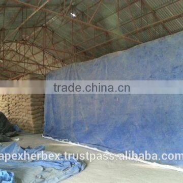 Barley for Malt / Barley Seeds / Hordeum Vulgare / Malt Grade Barley photo-4