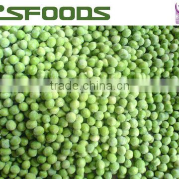 Frozen IQF Green peas best price