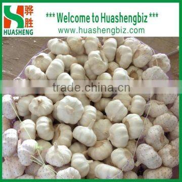 2016 Crop the fresh dry garlic