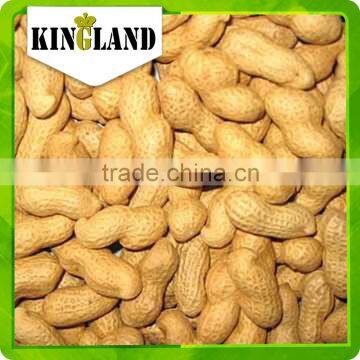 bulk peanuts in shell for sale