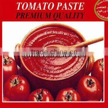 Fresh tomato paste in sauce