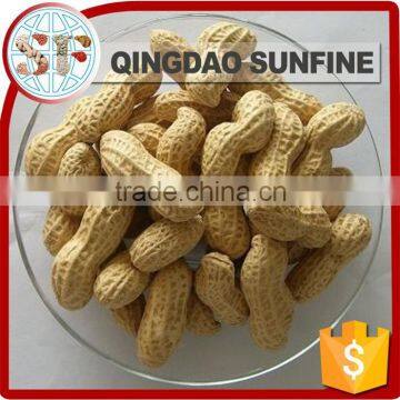 Manufacturer organic roasted peanuts in shell