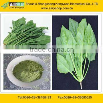 Spinach Extract from GMP Certified Manufacturer