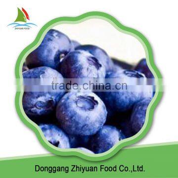 IQF Frozen Blueberry photo-2