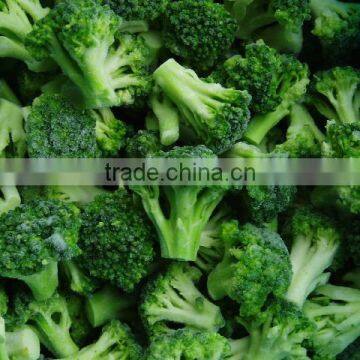 Frozen Broccoli With Best Price, Frozen Vegetable photo-4