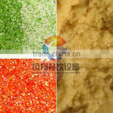 Indrustrial Garlic Grinder Crusher Machine, Garlic Presses Machine photo-5