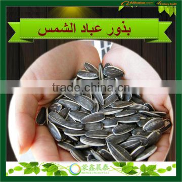 2014 wholesale China Sunflower Seeds Exporters