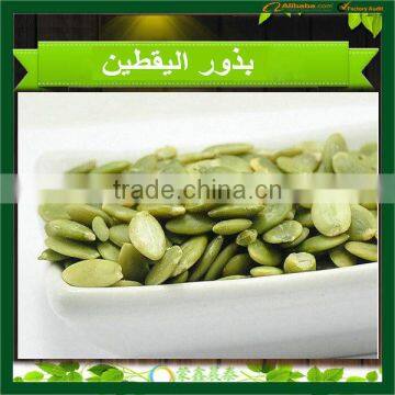 Grade A Shine Skin Pumpkin Seed Kernels Pumpkin Seed Kernels Shine Skin & GWS photo-3