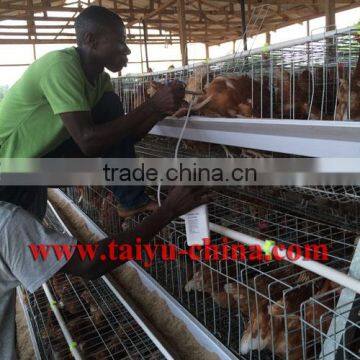 TAIYU Best Sale Chicken Egg Layer Cages System