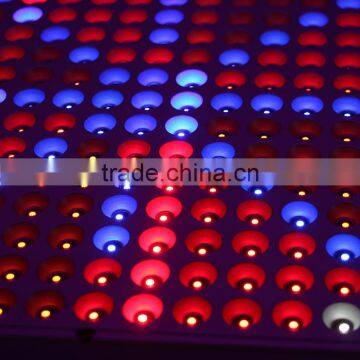 2016 Update 14w 225 Chips SMD Led Grow Lights photo-5