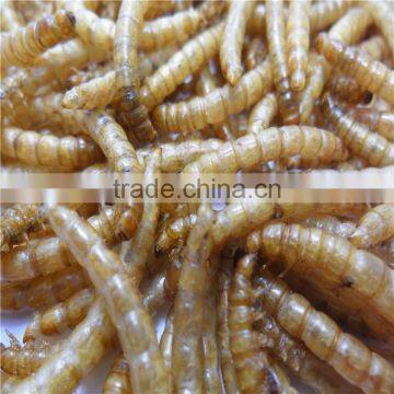 Koi and Pond Fish Foods High Protein 2.8cm Microwave Dried Mealworms photo-2
