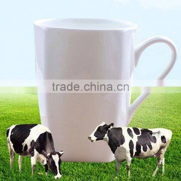 haonai high quality square ceramic mug with handle