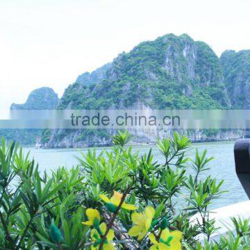 Ha Long Bay 2D1N on Boat photo-5