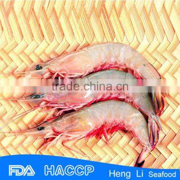 HL002 sea catch shrimp wholesale