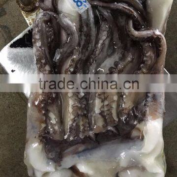 Frozen Giant Squid Tentacles/frozen Giant Squid Soft Tentacles photo-4