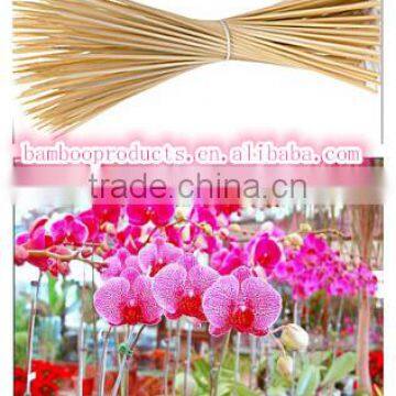 Bamboo Sticks for Sale