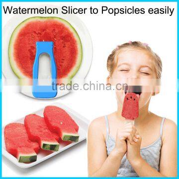 colorful shaped ice popsicle mold from watermelon,hamimelon,Pizza,egg pie,various design can be mixed popular among kids and hou