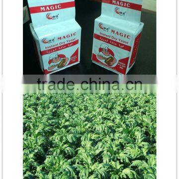 100g Instant Dry Yeast photo-4