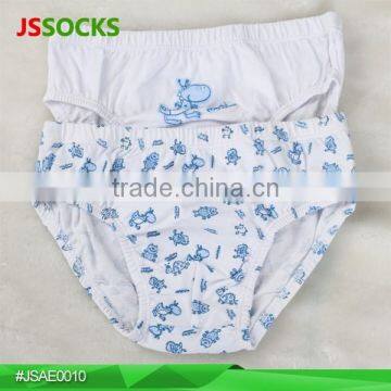 Kids Underwear Wholesale Designed Underwear Teen Sexy Boys Briefs