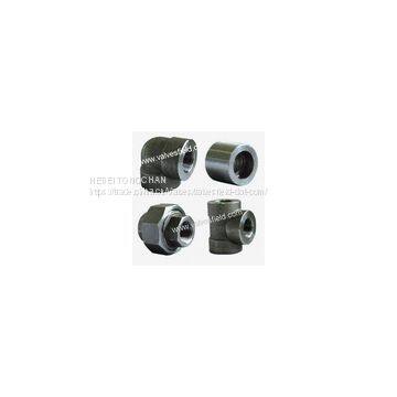 Forged Steel Pipe Fittings