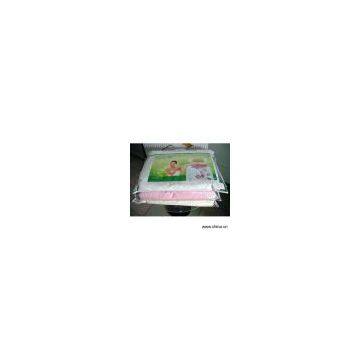 Sell Silk Quilt with 100% Natural Long Silk