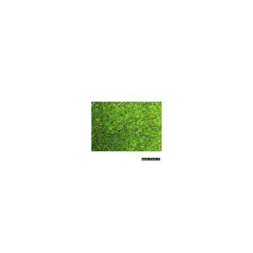 Landscape Turf