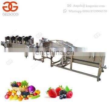 Commerical Factory Prices Leafy Vegetable Water Bubble Washer Dryer Ginger Date Blueberry Cleaning Machine Fruit Washing Line