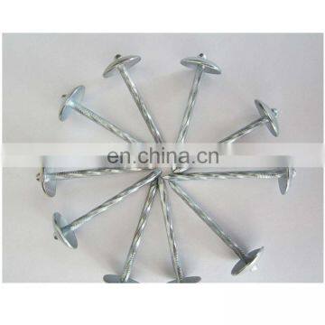 2.5"*BWG9 electro galvanized umbrella roofing nail