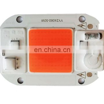 4060 AC220V Full Spectrum 380-780nm Chip Led Cob 50W for Plant Growth