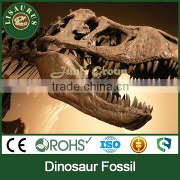 JLDF-0521 T rex dinosaur fossile skull replica