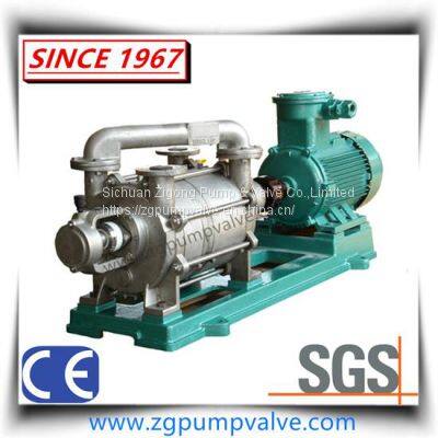 China Well-Known Brand Liquid/Water Ring Vacuum Pump & Compressor