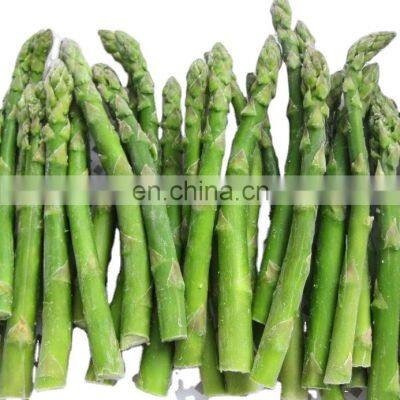 factory price good quality IQF frozen green asparagus