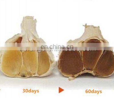 High Quality Black Garlic Fermenter Machines photo-4