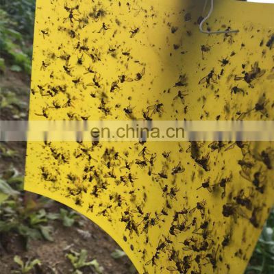 Double Sided Agriculture Helper Yellow Sticky Insect Glue Trap For Mosquito White Flies Aphids Leaf Miner