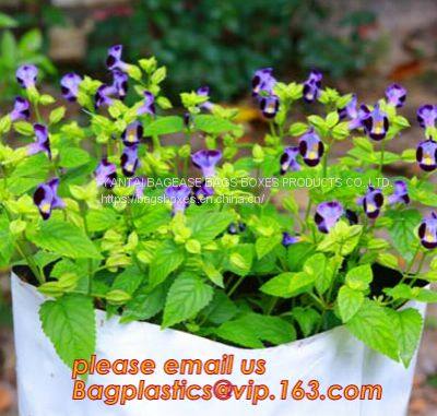 Greenhouse Horticulture Garden Bags Nursery Bags Plants Grow Bags Biodegradable Fabric Pots/Bag Plants Pouch Home Garden photo-5