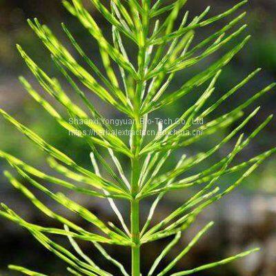 Horsetail Extract, Equisetum Arvense Extract, Horstail silica  7%,  botanical herbicides, Yongyuan Bio