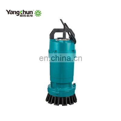 Mini Submerged Electric Submersible Clean Water Pump With Float Switch photo-4