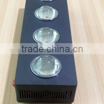 Veg Bloom Switchable Cob Led Grow Light Full Spectrum 1000w Led Grow Light photo-3