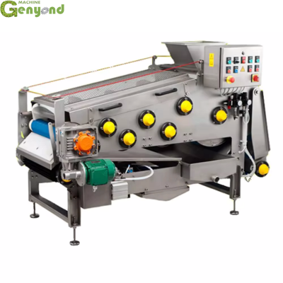 Food Processor Lemon Pear Pomegranate Orange Slow Cold Belt Press Juicer Juice Extractor