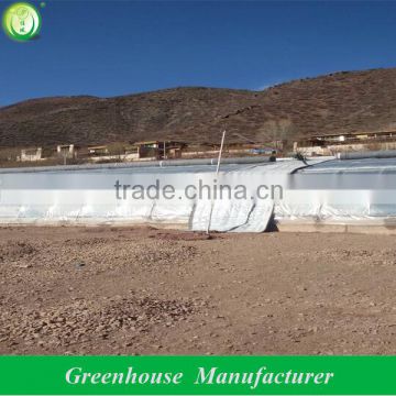 china solar greenhouse