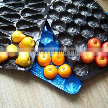 Plastic Nested Trays For Fruits