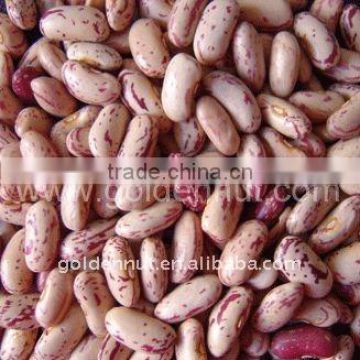 kidney beans