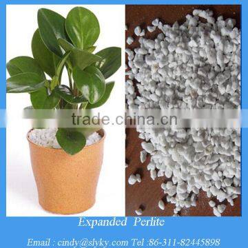 hydroponic perlite fertilizer soil