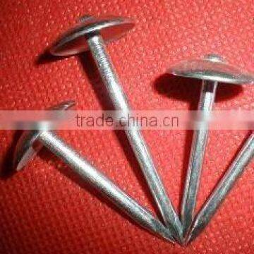 fast sell thickness 3.4mm galvanized roofing nails