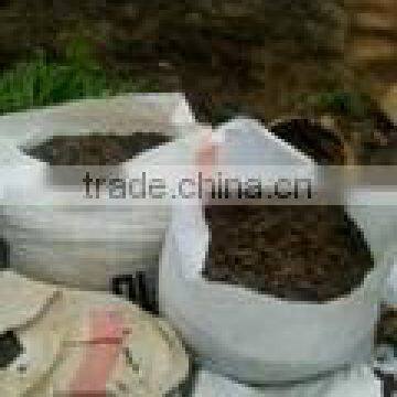 charcoal from palm kernel shell