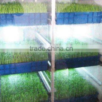 New Functional Automatic -animal Fodder Sprouting Mahine -barley/wheat/meize/seedling Bean Sprout Machine photo-5